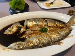 红汤蒸鲞鱼-云锦壹号·淮扬宴(徐汇万科店)