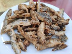 炸河鱼-途肴·老农饭庄(百里峡店)