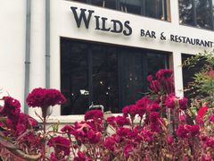 -WILDS 野有食(碧坞店)
