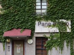 -思南公馆商业街