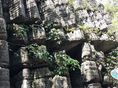 -梭布垭石林景区