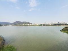 -风云岭森林公园