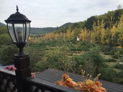 -旺山·浪头人家