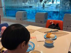 -帝企鹅自助餐厅•儿童岛•真企鹅(长隆企鹅酒店)