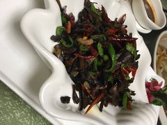 -山菌美食苑(振兴路店)