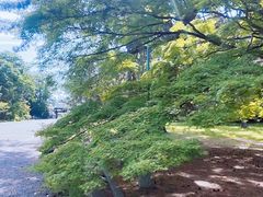-京都御所