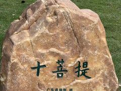 -华侨公园