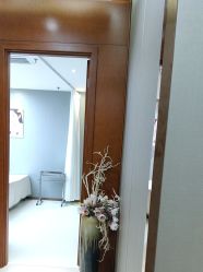 -蓝山医疗美容医院