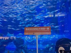 -成都浩海立方海洋公园