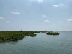 -北海金海湾红树林生态旅游区