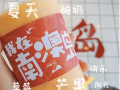 -南澳岛打卡果汁冰公司