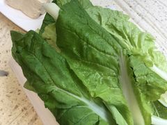 -九寨特色牦牛肉汤锅 羊肉汤锅