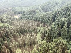 -瓦屋山景区