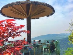 -铁山坪森林公园