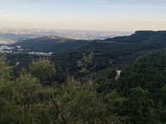 -北京西山国家森林公园