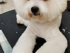 -乐琪宠物(青塔西路店)