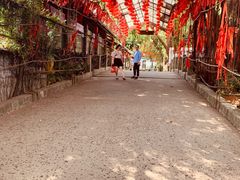 -观澜山水田园