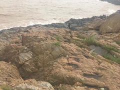 -平湖九龙山旅游度假区