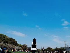 -昆山城市公园