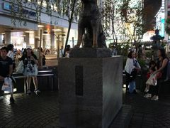 -涩谷区
