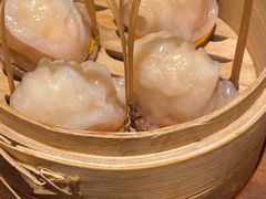 -金鼎轩(方庄天坛店)