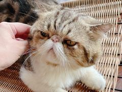 -参差咖啡(水果湖公园店)