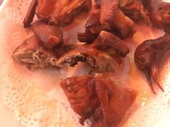 -东鸽皇(奥园·中环广场店)