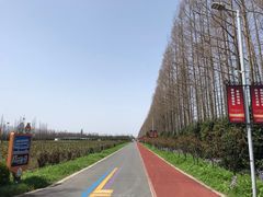 -上海长兴岛郊野公园