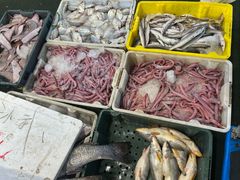 -海峡水产品交易中心(海鲜交易区)