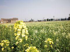 -中国天府农业博览园