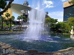 -拉斯维加斯永利酒店