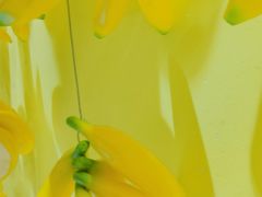 -福州奇幻解压馆(东泰禾旗舰店)