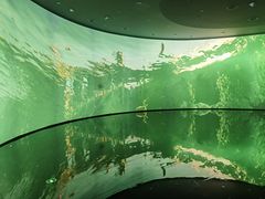 -中国湿地博物馆