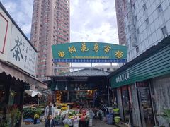 -曲阳花鸟市场(曲阳路店)