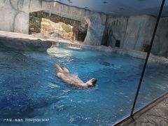 -珠海长隆海洋王国