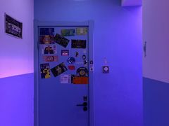 -ZING鲸鱼啤酒(葡萄院店)