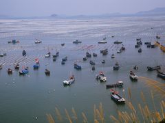 -枸杞岛
