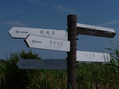 -盐城丹顶鹤湿地生态旅游区