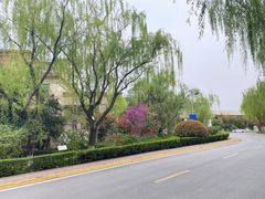 -西安国际创新人才交流中心•药浴温泉