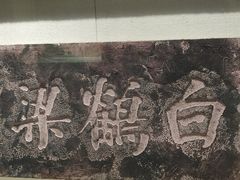 -白鹤梁水下博物馆