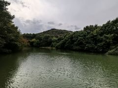 -白马涧龙池景区