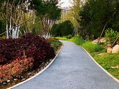 -回龙观体育文化公园