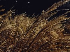 -南京市江宁方山