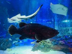 -沈阳海洋探索中心