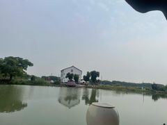 -水岸居湖景农家乐·阳澄湖大闸蟹