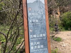 -灵岩山风景区