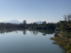 -三垟湿地