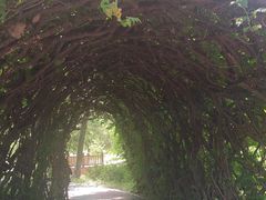 -莲花池公园