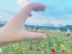 -海珠湖公园