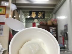 -洪馨椰子